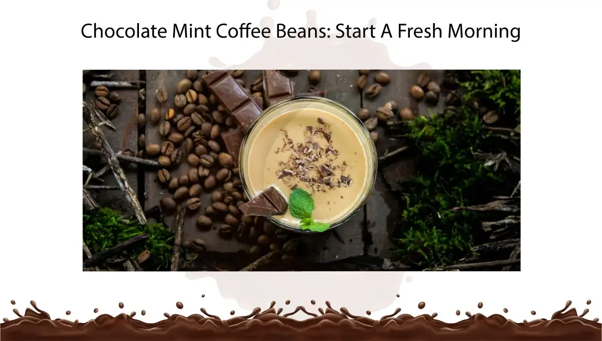 chocolate-mint-coffee-beans