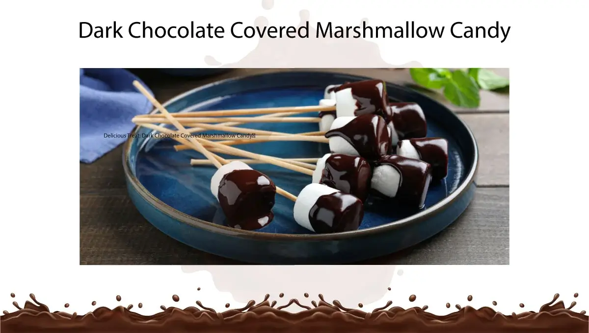 dark-chocolate-covered-marshmallow-candy