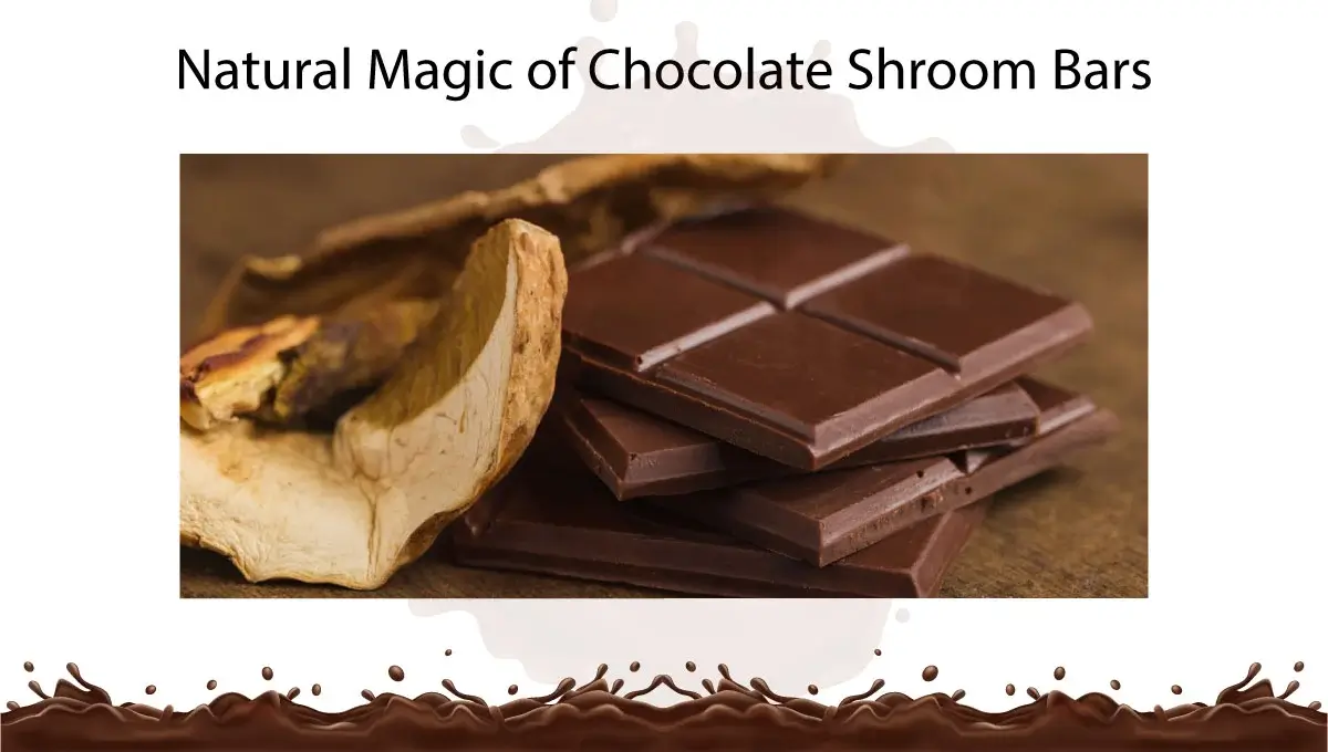 natural-magic-of-chocolate-shroom-bars