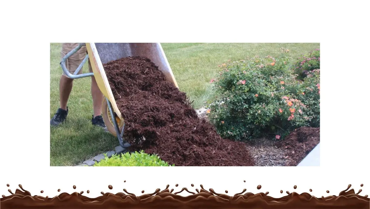 applying-chocolate-brown-mulch-step-by-step-guide
