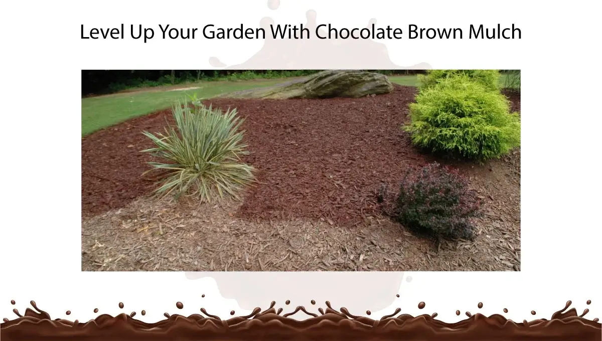 level-up-your-garden-with-chocolate-brown-mulch