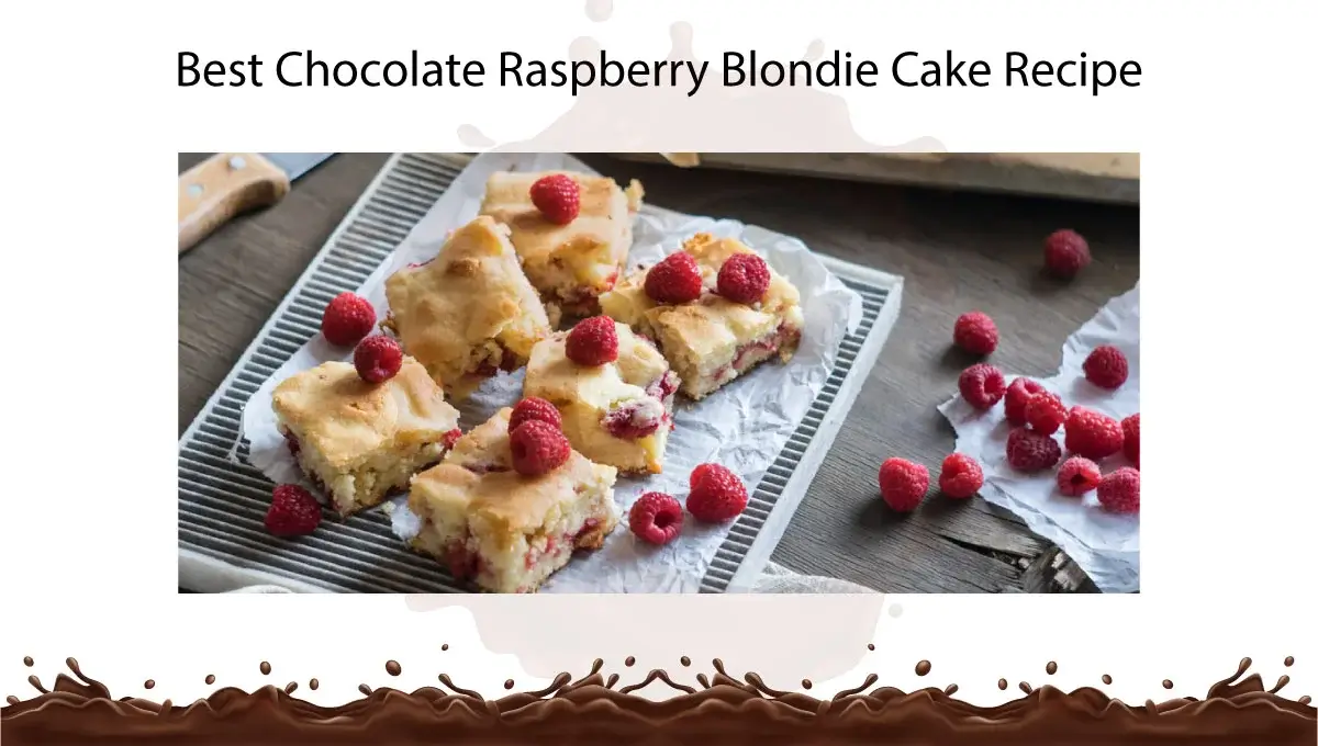 best-chocolate-raspberry-blondie-cake-recipe