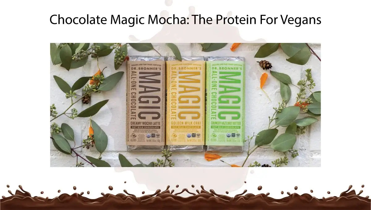 chocolate-magic-mocha-the-protein-for-vegans