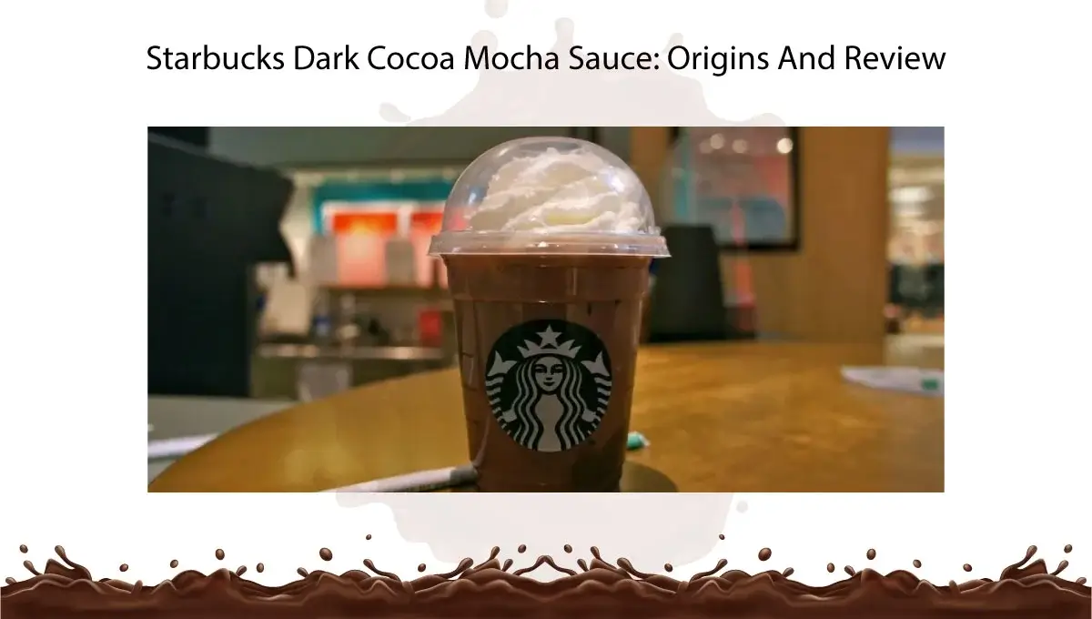 starbucks-dark-cocoa-mocha-sauce-origins-and-review