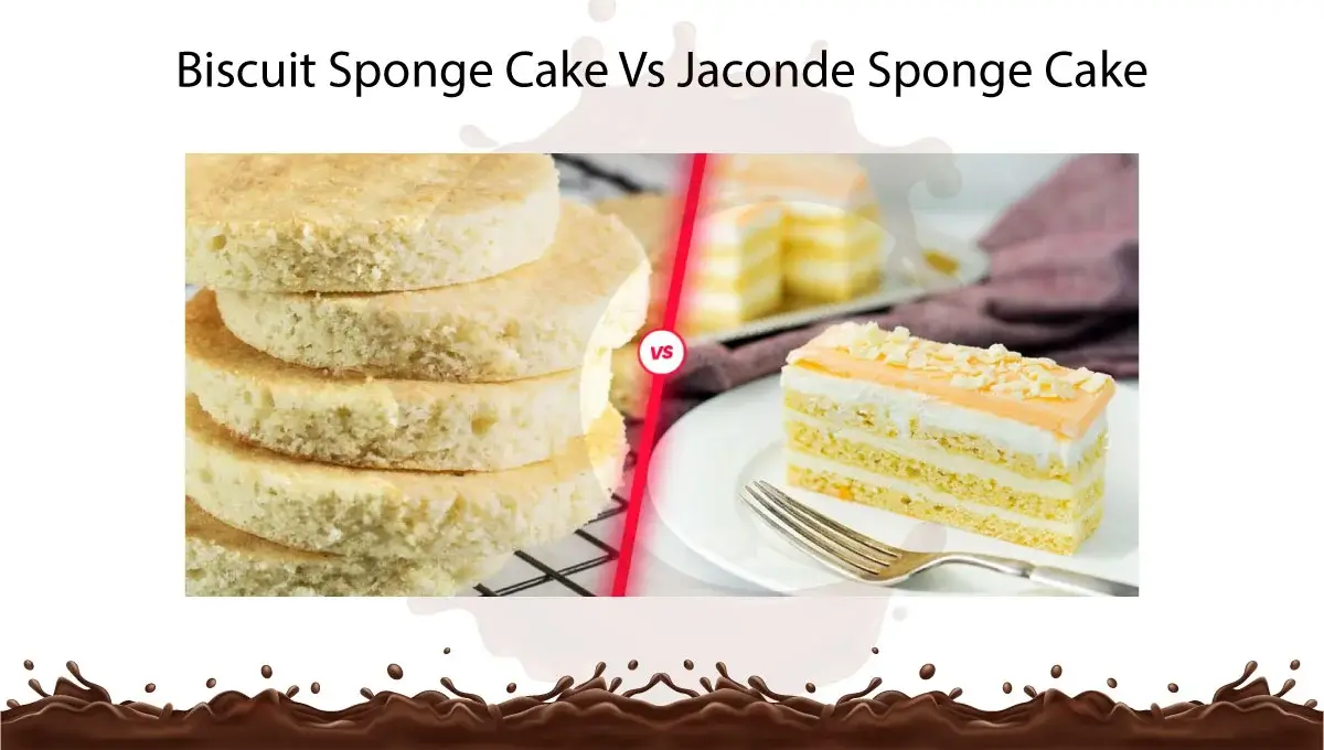 biscuit-sponge-cake-vs-jaconde-sponge-cake