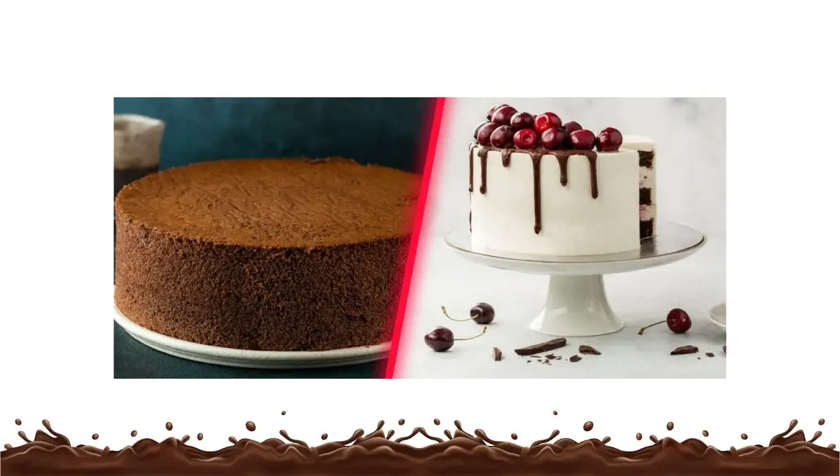 differences-between-soft-and-light-chocolate-sponge-cake