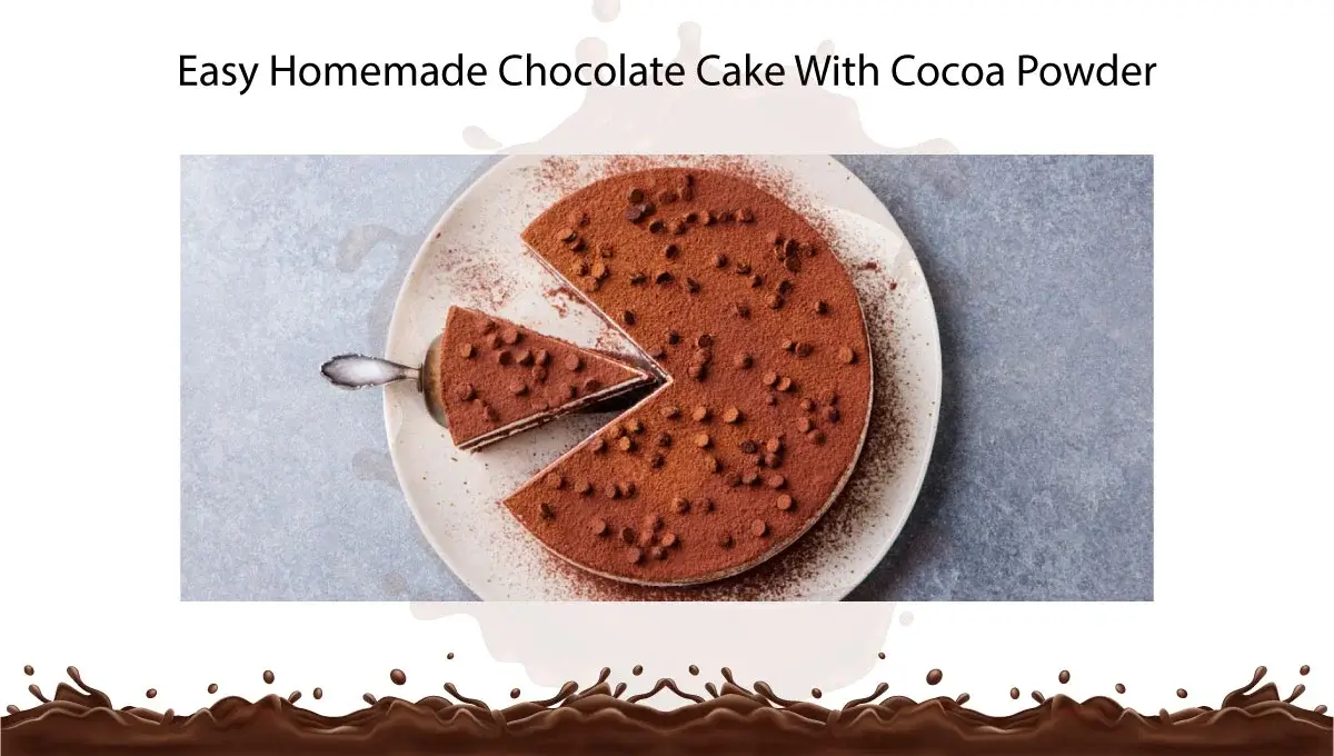 easy-homemade-chocolate-cake-with-cocoa-powder