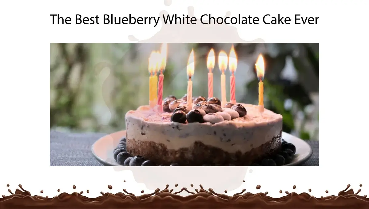 the-best-blueberry-white-chocolate-cake-ever