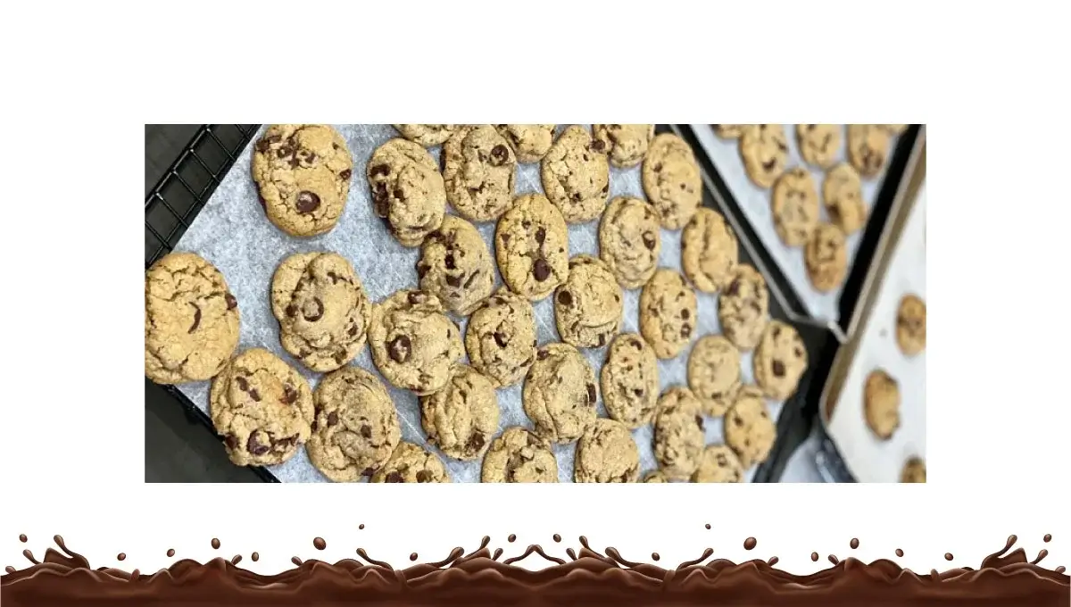 step-by-step-guide-to-bake-gluten-free-chocolate-chip-cookies